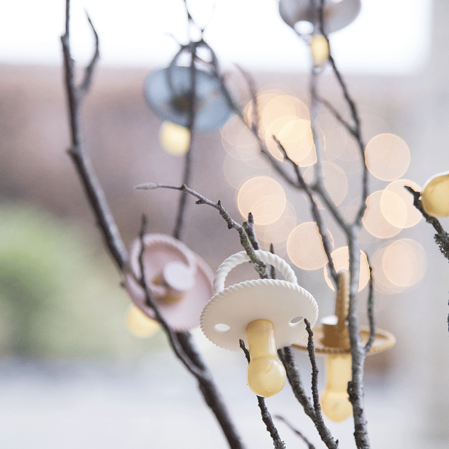 滁州供卵取几个，为生命注入希望